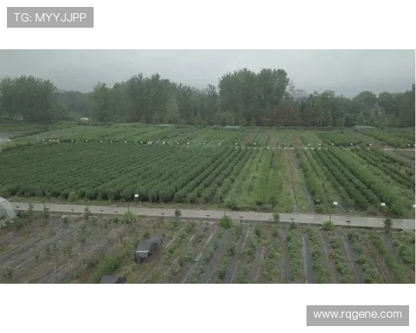 淄博企业家创新发展之路：助力地方经济腾飞与产业升级